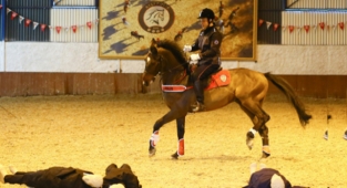 Türk Polis Teşkilatının süvarileri