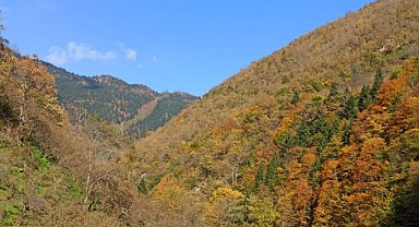 Giresun Yaylaları Foto Galeri