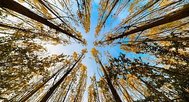 Mardin’de Sonbahar Görsel Şöleni Foto Galeri