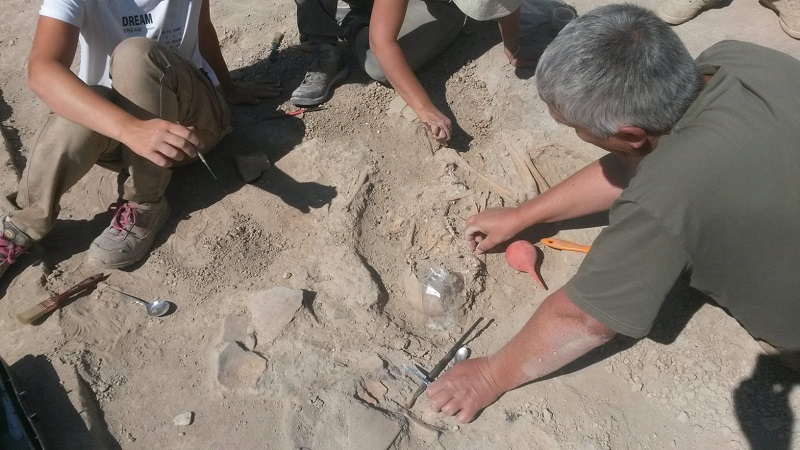 Arslantepe Höyüğünde, 5700 Yıllık Çocuk İskeleti Bulundu