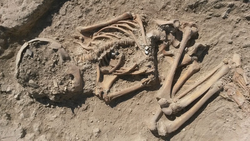 Arslantepe Höyüğünde, 5700 Yıllık Çocuk İskeleti Bulundu