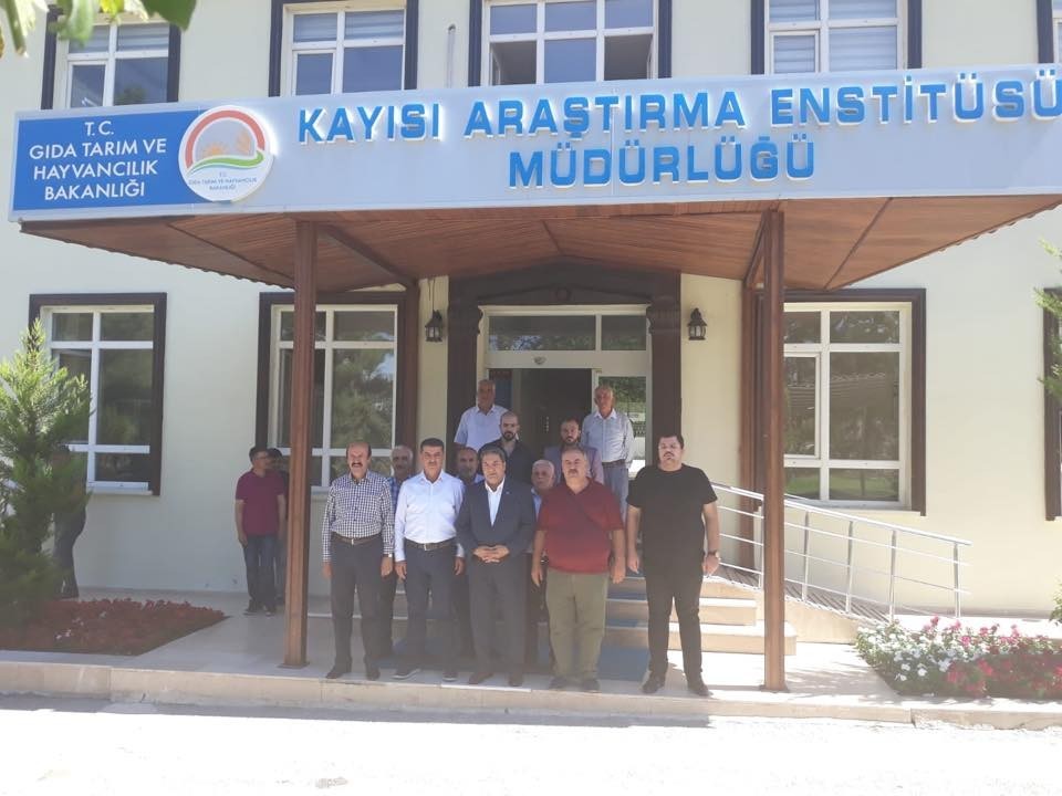 2019 'Dünya Kayısı Sempozyumu' Malatya'da yapılacak