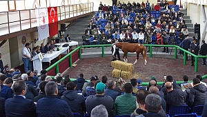 Bosna Hersek 560 bin TL’ye Alıcı Buldu