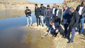 Yeşilyurt Beylerderesi Göletine 10 Bin Sazan Bırakıldı