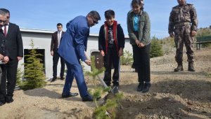 Dağdeviren, Fidan Demek İnsan Demek, Ağaç Demek Nefes Demek