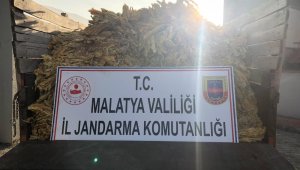 Doğanşehir'de Tütün Hırsızları Yakalandı
