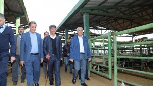 Güder, Hayvancılıkta Malatya'nın Üs Olmasını İstiyoruz