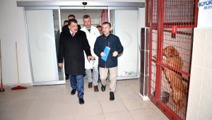 1433 Sokak Hayvanının Tedavileri ve Aşıları Yapıldı