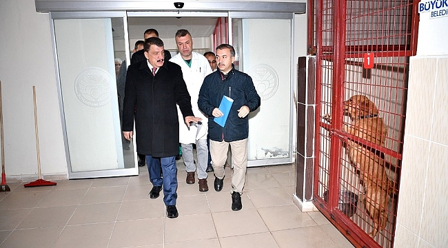 1433 Sokak Hayvanının Tedavileri ve Aşıları Yapıldı