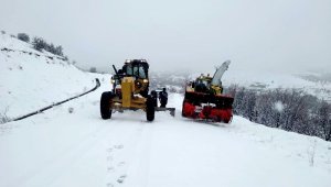 205 Mahalle Yolu Kar Nedeniyle Kapandı