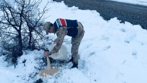 Jandarma Yaban hayvanlarını Unutmadı