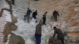 Pancar Alımlarında 20 Yılın Rekoru Kırıldı