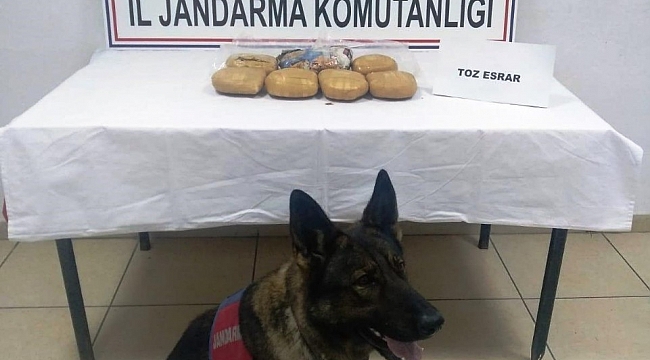 Yolcu Otobüsünde 4 Kg Esrar Yakalandı:3 Gözaltı