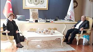 Cumhurbaşkanı Başdanışmanı Akşit, Prof. Dr. Bayram Altan'ı Ziyaret Etti