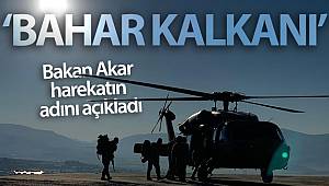 'Bahar Kalkanı Harekatı'