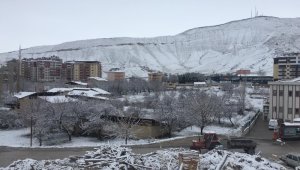 Çiçek Açan Kayısı Ağaçları Kara Gömüldü