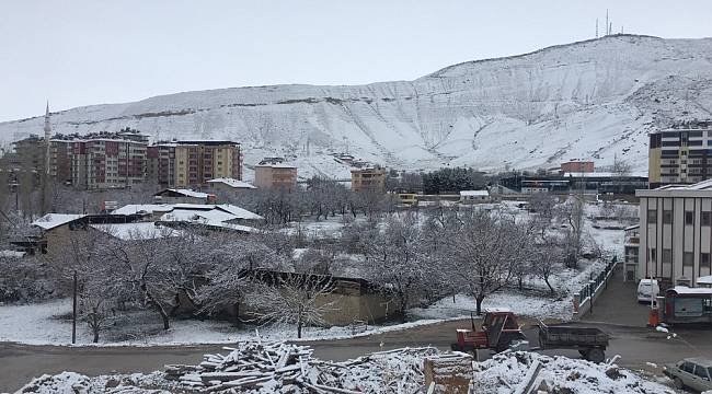 Çiçek Açan Kayısı Ağaçları Kara Gömüldü