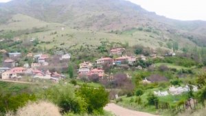 Hekimhan'da Bir Mahalle Karantinaya Alındı