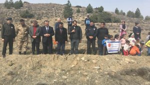 Hekimhan'da fidanlar toprakla buluşturuldu