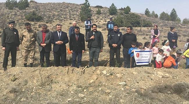 Hekimhan'da fidanlar toprakla buluşturuldu