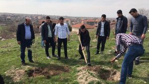 İdlib Şehitleri Anısına Fidan Dikildi