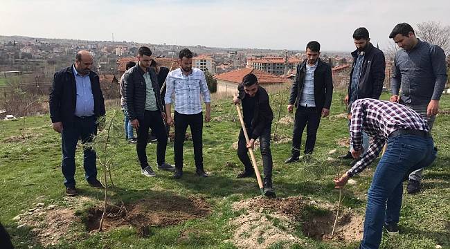 İdlib Şehitleri Anısına Fidan Dikildi