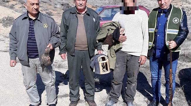 Kaçak keklik avlayan şahıs yakalandı