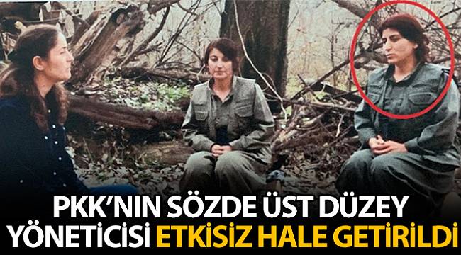 PKK'nın Sözde Üst Düzey Yetkilisi Etkisiz Hale Getirildi