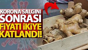 Yaş Zencefilin Fiyatı 75 TL'ye Çıktı