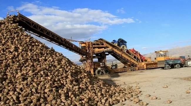 Pancar Üreticisine 14 Milyon 812 Bin Lira Ödeme Yapıldı