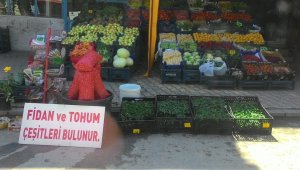 Sebze Fidelerini Dikme Dönemi Başladı