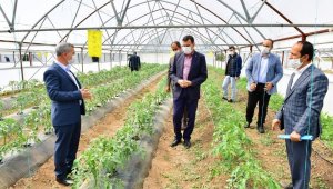 Çınar; Meyve Kurutma ve Kükürtleme Tesisi Kuracağız