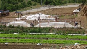 Doğanşehir'de Hortum Bahçe ve Seralara Zarar Verdi