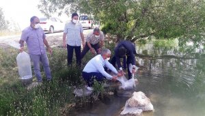 Göletlere 50 Bin Yavru Balık Bırakıldı
