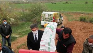 Hekimhan'a yerli kırmızı mercimek ekimi yapıldı