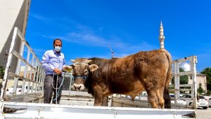 Milli Dayanışma Kampanyası'na Tosun Bağışında Bulundular