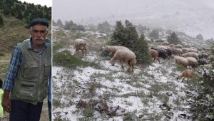 Sürüsünü Kurtarmak İsterken Canından oldu