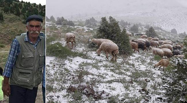 Sürüsünü Kurtarmak İsterken Canından oldu