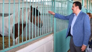 Tüfenkci; Onkoloji Hastanesini Bayramdan Sonra Açacağız