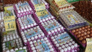 Yumurta Fiyatları Yüzde 50 Arttı!