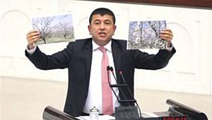 Ağbaba; Tarsim Sistemi Çöküyor