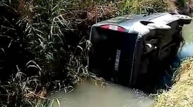 Aracına Arı Girince Direksiyon Hakimiyetini Kaybetti Dereye Uçtu