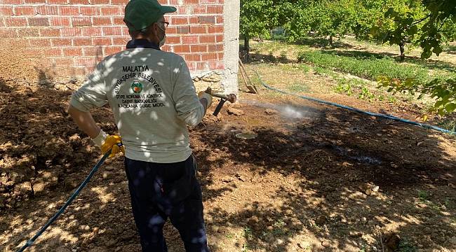 Büyükşehir 24 Ekiple İlaçlama Yapıyor