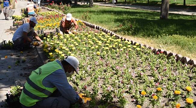 Büyükşehir Belediyesi'nden 150 Bin Çiçek Dikimi Yapıldı