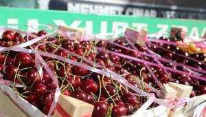 En İyi Kiraz ve Bahçesi Ödülleri Sahiplerini Buldu