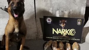 İki Yolcuda 3 Kilo Esrar Yakalandı
