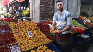 Malatya Kayısısı Tezgahlara İndi