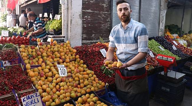 Malatya Kayısısı Tezgahlara İndi