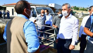 Başkan Çınar, Hayvan yetiştiricilerinin taleplerini dinledi