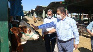 Başkan Keskin: Pazar gelin ve kurbanınızı kendiniz alınız